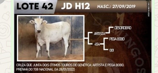 Imagem do animal
