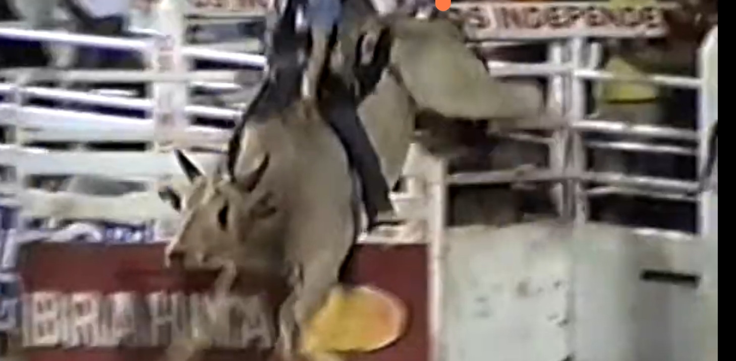 Imagem do animal