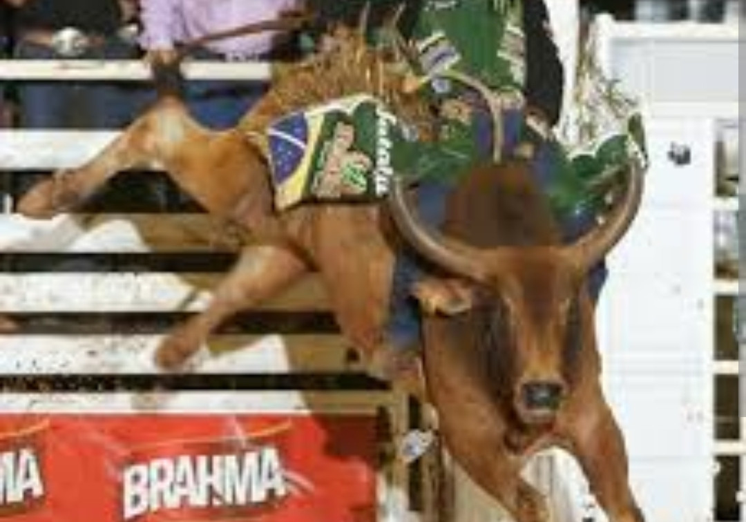 Imagem do animal