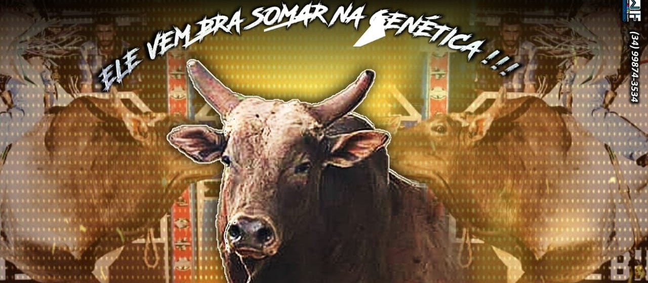 Imagem do animal