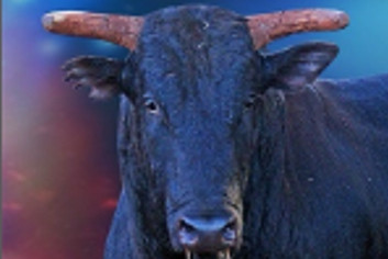Imagem do animal